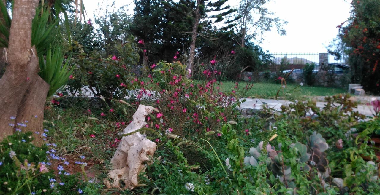 Plakias * Lefkogeia
